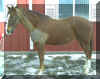 zeke1.jpg (41574 bytes)